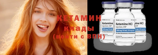 твердый Вяземский