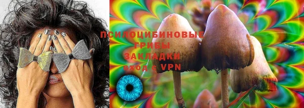 твердый Вяземский