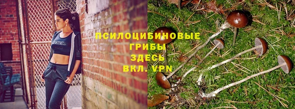 твердый Вяземский