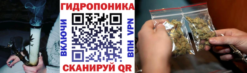 купить наркотик  Балашиха  Конопля сатива 